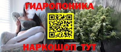 стафф Свободный