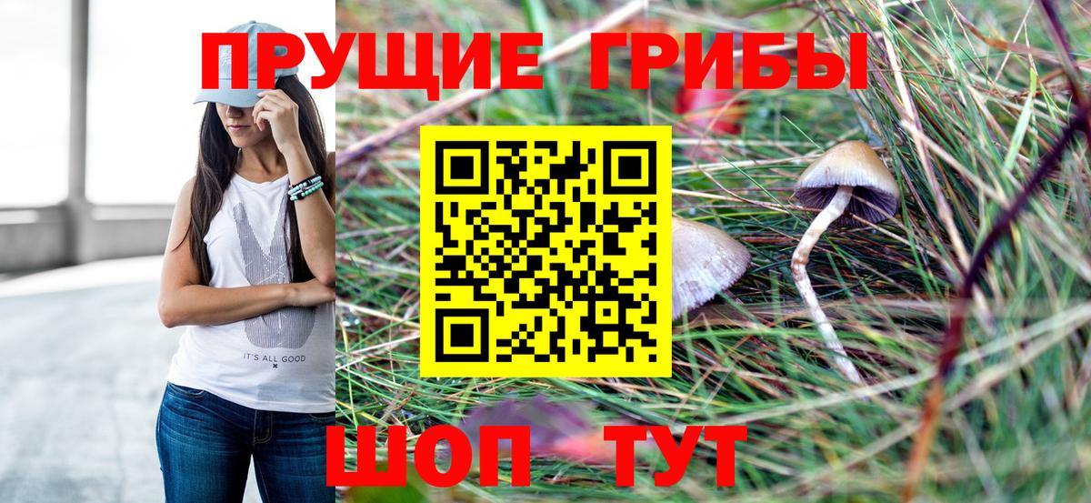 сколько стоит  Псилоцибиновые грибы GOLDEN TEACHER  Вход с VPN  Новочебоксарск 